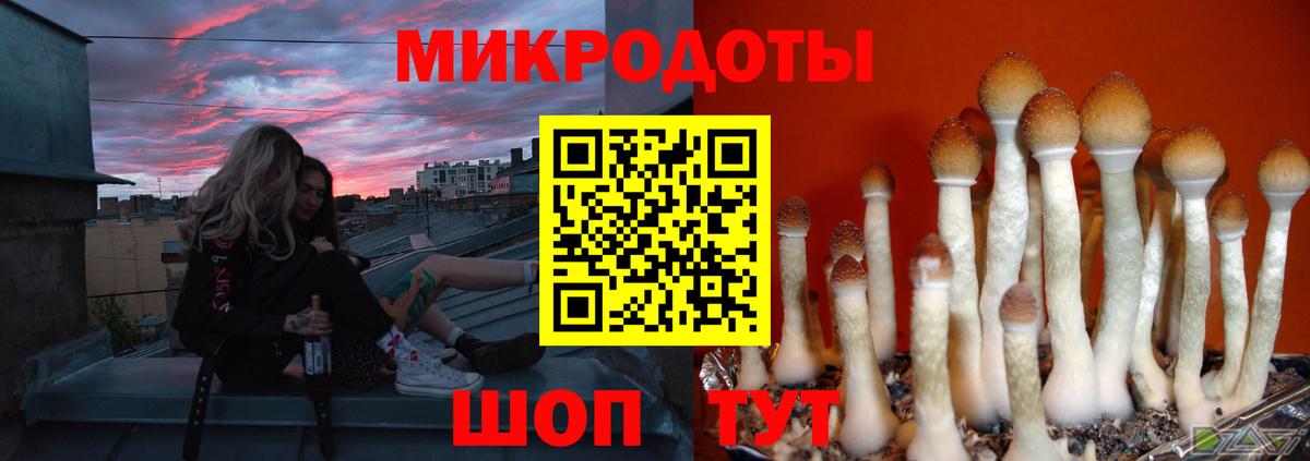 Кингисепп  Галлюциногенные грибы прущие грибы  Вход с VPN  Галлюциногенные грибы ЛСД 